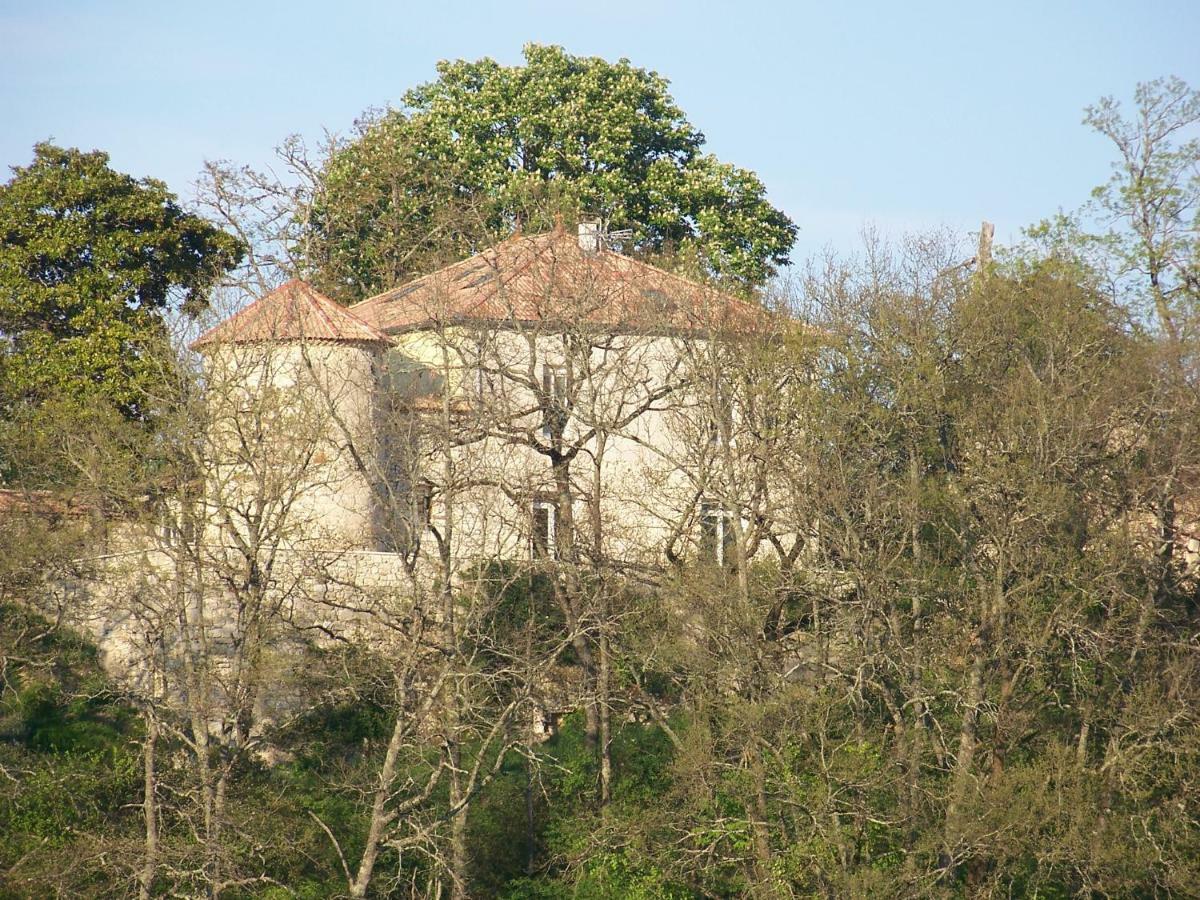 Saint-Pierre-de-Clairac Loustalneou Bed & Breakfast エクステリア 写真
