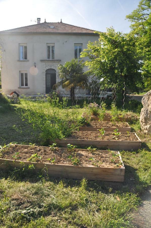 Saint-Pierre-de-Clairac Loustalneou Bed & Breakfast エクステリア 写真