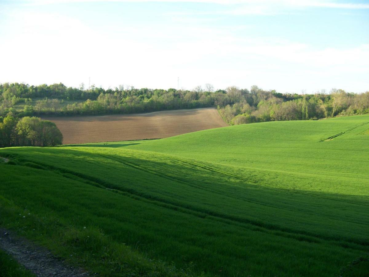 Saint-Pierre-de-Clairac Loustalneou Bed & Breakfast エクステリア 写真